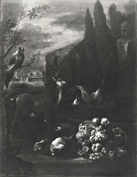 Anonimo — Autore non indicato - sec. XVIII - Natura morta con frutta, volatili, capriolo e conigli in un giardino — insieme